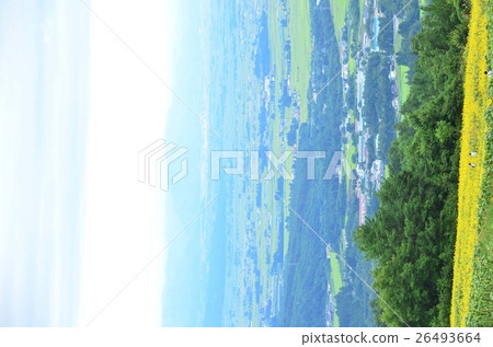 Sannokura Takahara向日葵田(福島縣) Sannokura Takahara向日葵田(福島縣) 26493664