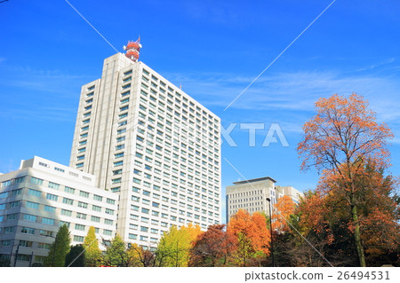 Kasumigaseki高層建築和秋葉日比谷公園 26494531