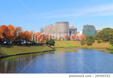 Sakurada護城河秋葉 26494542