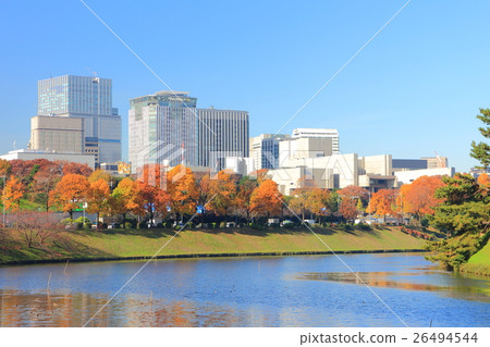 Sakurada護城河秋葉 Sakurada護城河秋葉 26494544