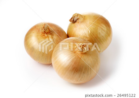 onion onion 26495122