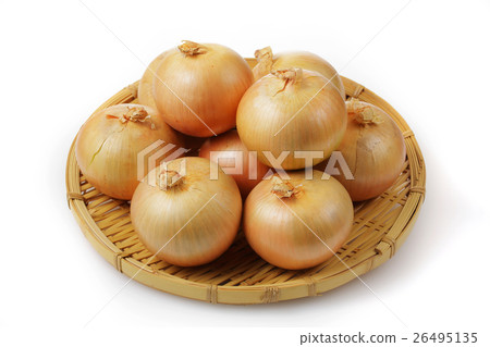 蔥 蔥 26495135