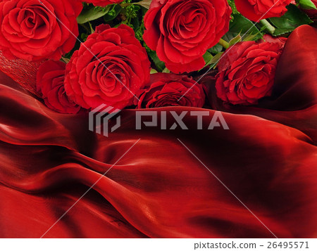 Roses 26495571