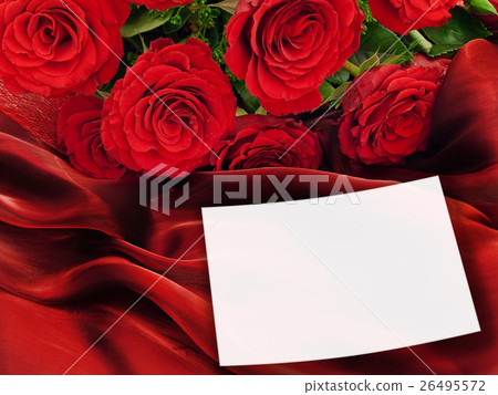 Roses Roses 26495572