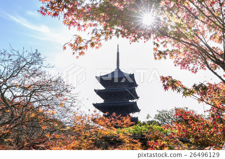 Tōzuji在秋天 Tōzuji在秋天 26496129