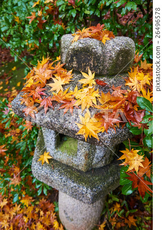 濕秋葉和石燈籠 濕秋葉和石燈籠 26496578