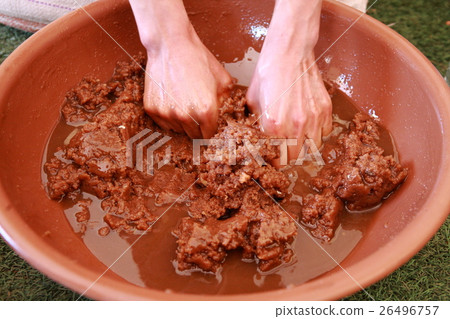 Argan in Morocco. Argan in Morocco Argan in Morocco. Argan in Morocco 26496757