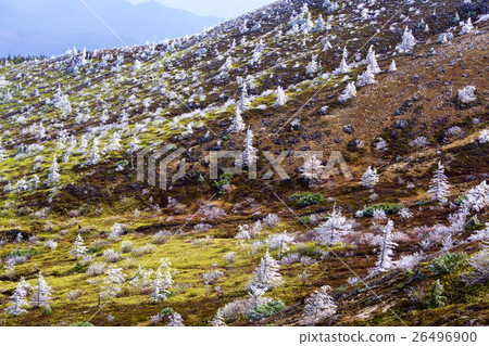 志賀Kogen霧冰看法 26496900