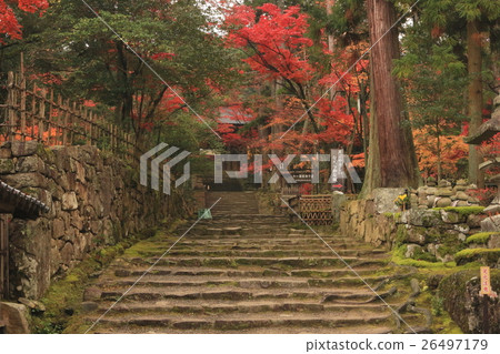 Monzae Stone steps Monzae Stone steps 26497179