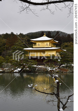 Kinkakuji (Kaenji Temple) Shurikoji Kinkakuji (Kaenji Temple) Shurikoji 26497455