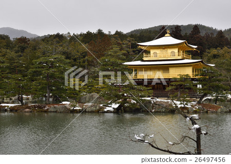 Kinkakuji (Kaenji Temple) Shurikoji Kinkakuji (Kaenji Temple) Shurikoji 26497456