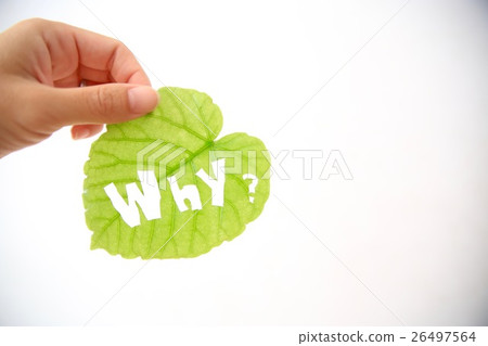 Leaves of Why? Leaves of Why? 26497564