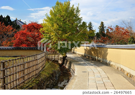 秋天的二月回歸 26497665