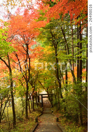 進入Shiobara山谷 26498016