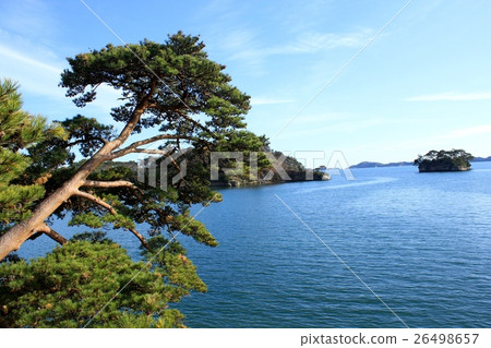 松島(宮城縣) 松島(宮城縣) 26498657