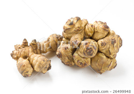 Jerusalem artichoke Jerusalem artichoke 26499948