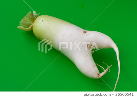 兩條腿蘿蔔 兩條腿蘿蔔 26500541