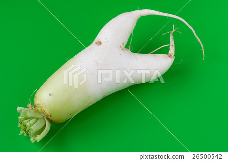 兩條腿蘿蔔 26500542