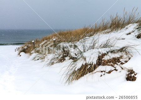 Baltic Sea coast in Ahrenshoop (Germany) in winter Baltic Sea coast in Ahrenshoop (Germany) in winter 26500855