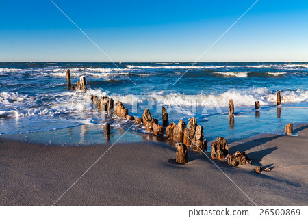 Groynes on shore of the Baltic Sea 26500869