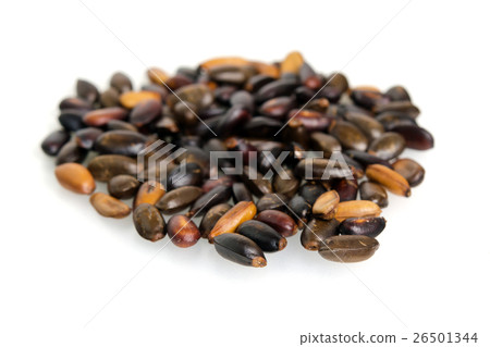 Heap of custard apple seeds or kernels isolated 26501344