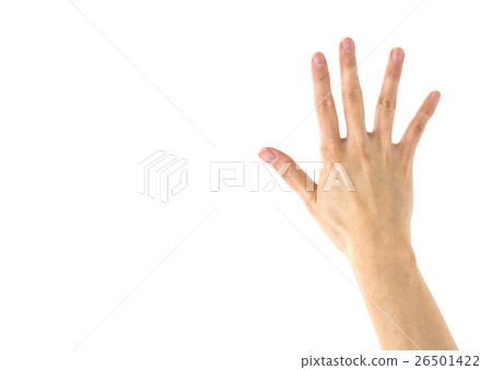 女手白色背 26501422