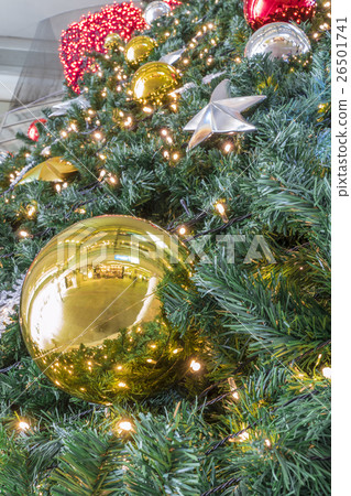 Christmas tree Christmas tree 26501741