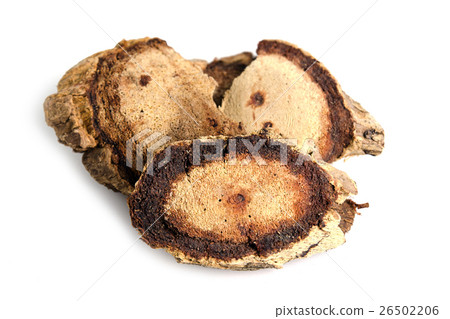 Butea superba Roxb or red Kwao Krua tuber root Butea superba Roxb or red Kwao Krua tuber root 26502206