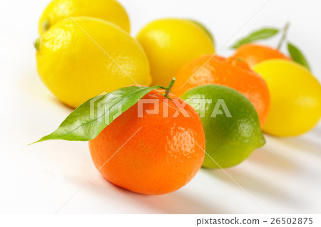 fresh citrus fruit fresh citrus fruit 26502875