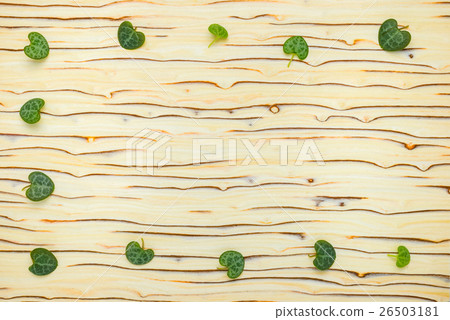 abstract leaves Ceropegia Woodii on wood texture 26503181