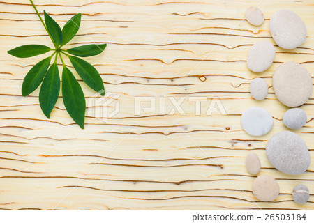 green leaf of shefler and stones on wooden green leaf of shefler and stones on wooden 26503184