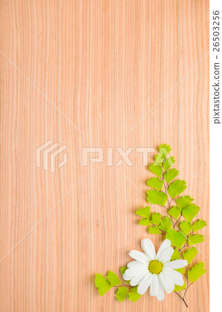 branches of fern and daisy flower on wooden branches of fern and daisy flower on wooden 26503256