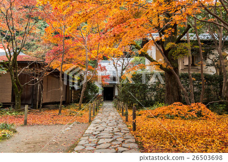 蓮花寺 蓮花寺 26503698