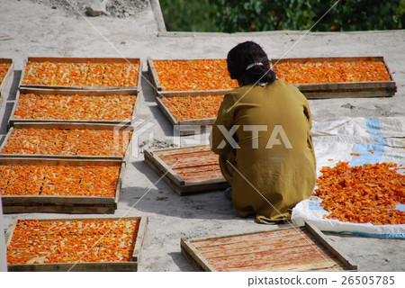 Hunza's dry apricot Hunza's dry apricot 26505785