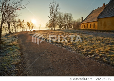 Winter walkwy with frost 26508279