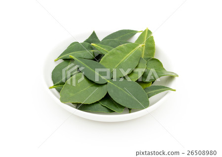 Kaffir-lime leaves: Kaffir lime leaf 26508980