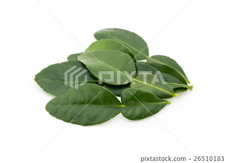 Kaffir-lime leaves: Kaffir lime leaf 26510183