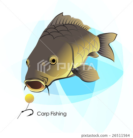 Carp Fishing 26511564