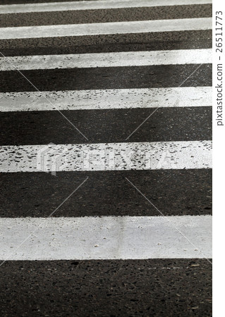 road markings, close-up 26511773