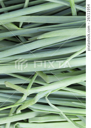 green feathers bow green feathers bow 26511954