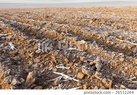 plowed land, frost plowed land, frost 26512264