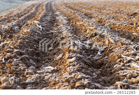plowed land, frost 26512265