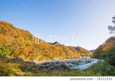 Nagatoro秋葉 26512520