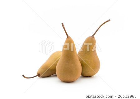 梨(品種:博斯克):Bosc Pear 梨(品種:博斯克):Bosc Pear 26512963