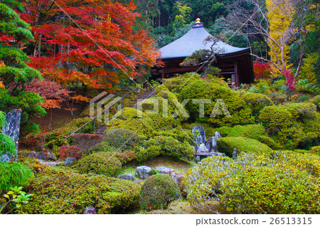 秩父Fudashi三十 26513315