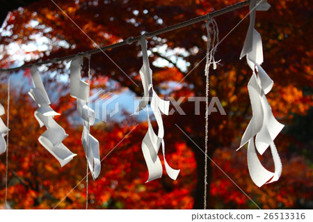 神社和秋葉 神社和秋葉 26513316