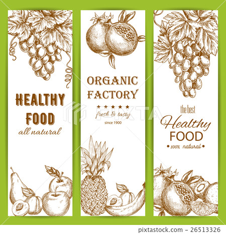 Healthy natural organic fruit food sketch banners Healthy natural organic fruit food sketch banners 26513326