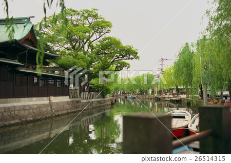 美津濃柳川 26514315