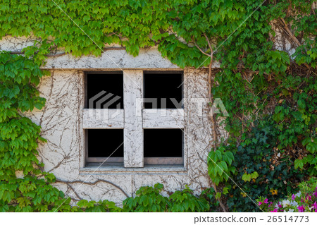 Old white window of abandoned house 26514773