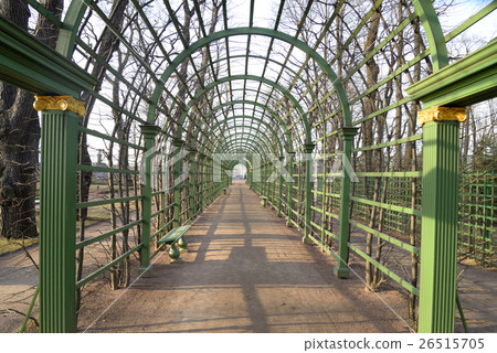 Passage in Summer Garden. Passage in Summer Garden. 26515705